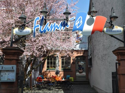 照片: Flamm's